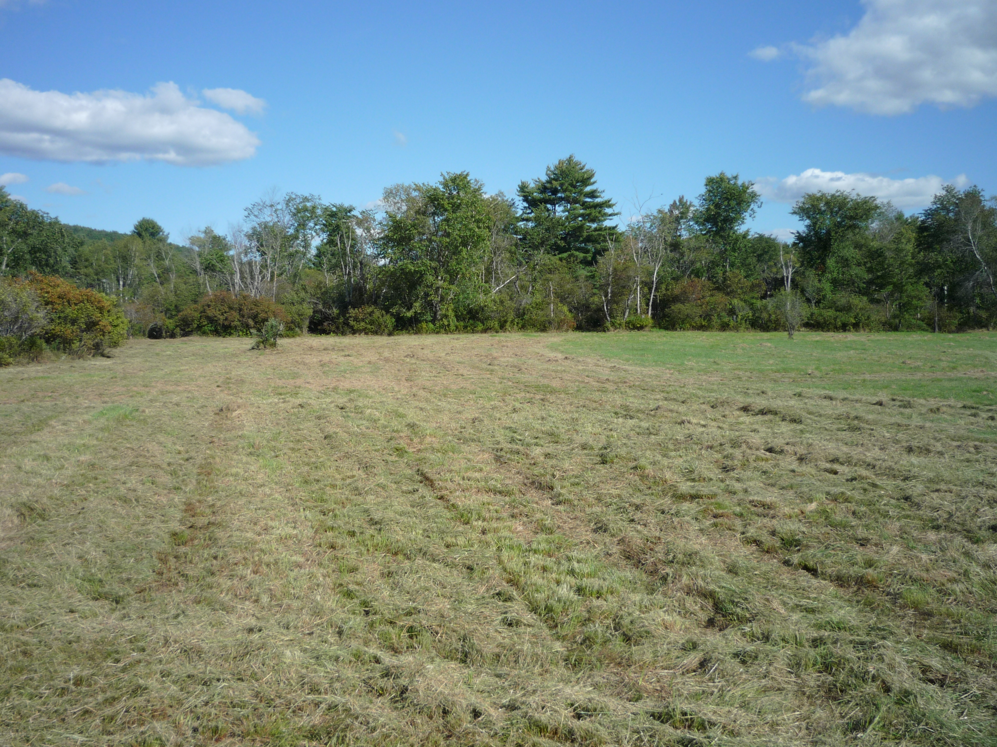 www.mellonpatchfarm.com Grafton New Hampshire Camping Events Scenic Riverside Location Mt Cardigan Ruggles Mine